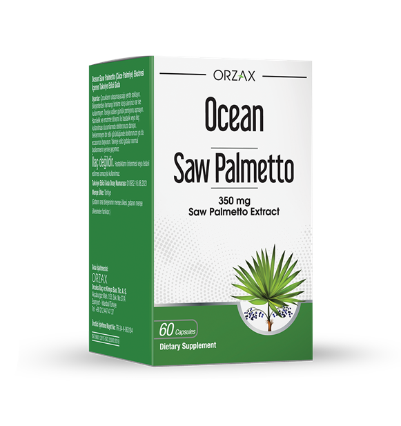 Ocean Saw Palmetto