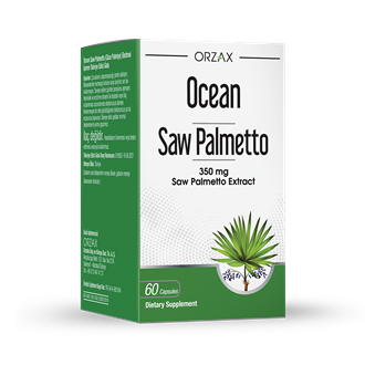 Ocean Saw Palmetto